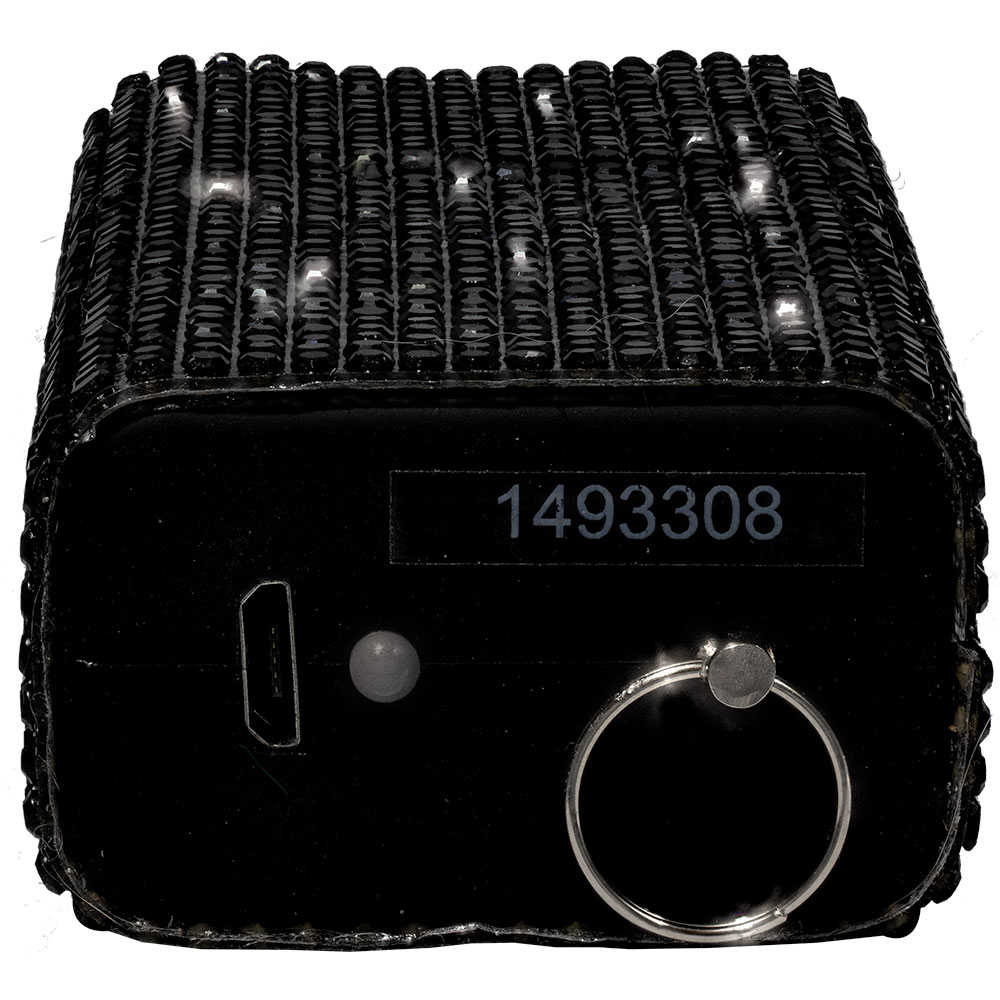Rhinestun Keychain Stun Gun Black view 2